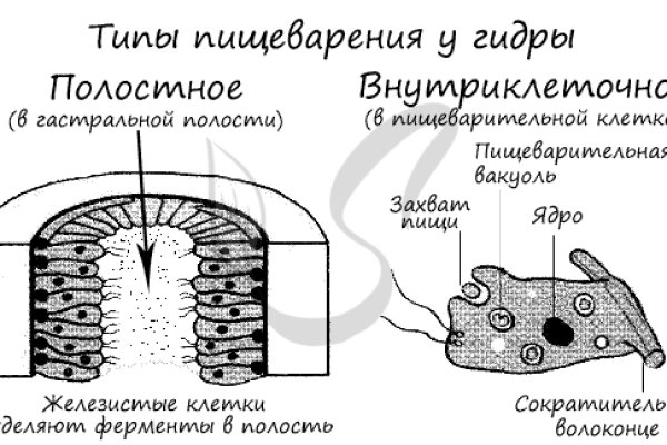 Мега или кракен