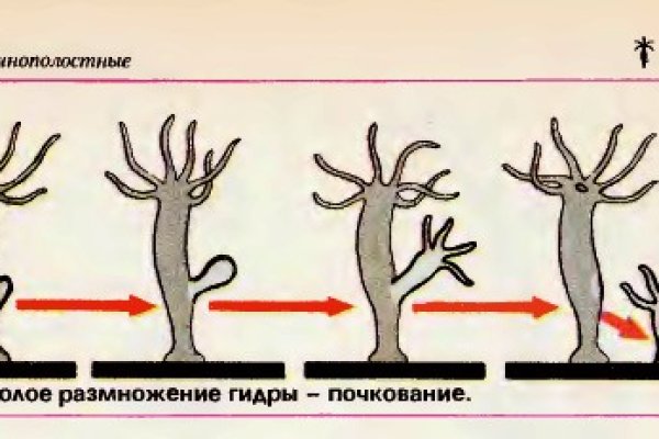 Kraken официальный сайт ссылка