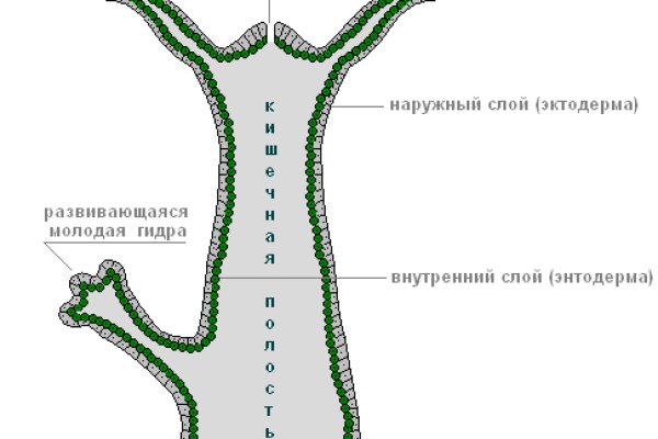 Kraken актуальные ссылки официальный сайт